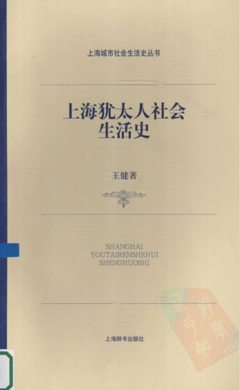 上海城市社会生活史丛书.pdf下载